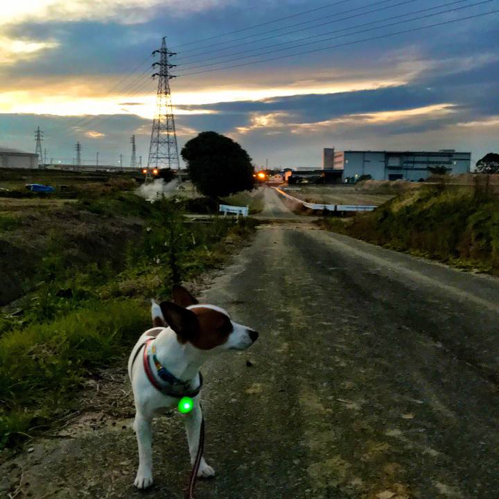 3480d763 2a1b 48c7 b949 144b2eb9ffd1 1512909925711