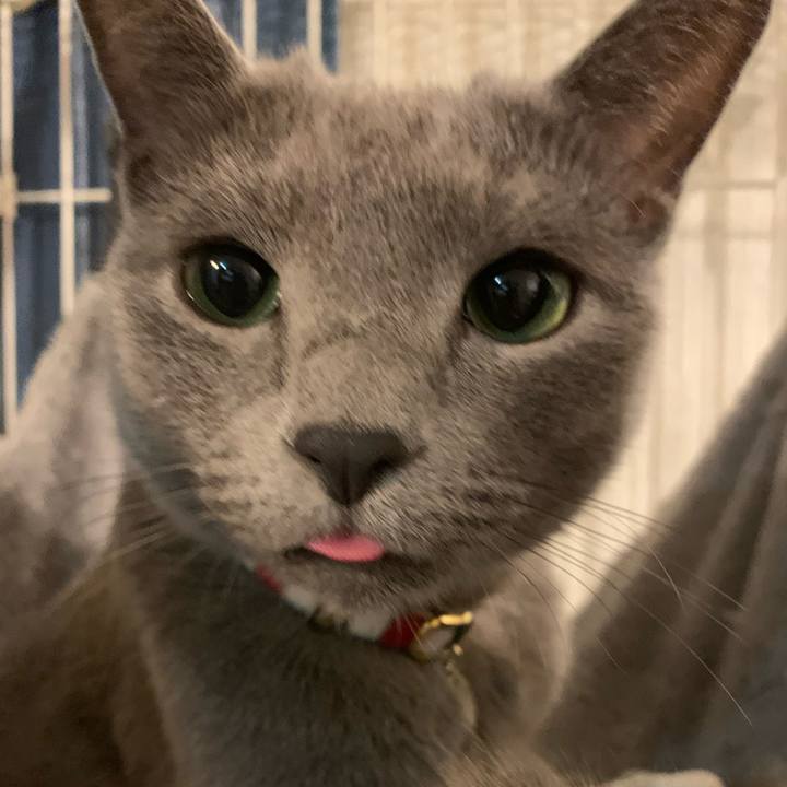 3480dbc7 b034 4c36 b460 8c333896d2f8 1610016777970