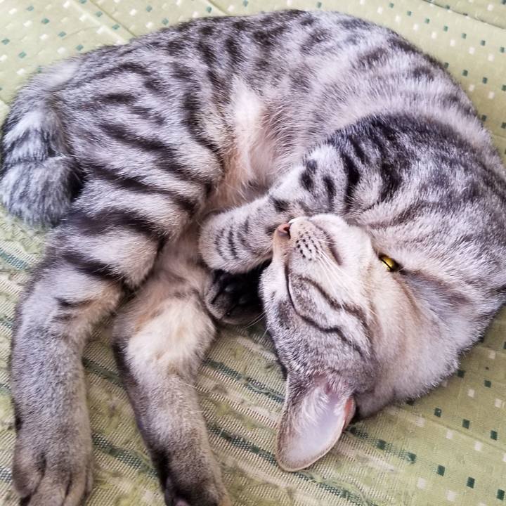 3480def5 583b 4698 880f 5a00d1ae51e8 1677625830132