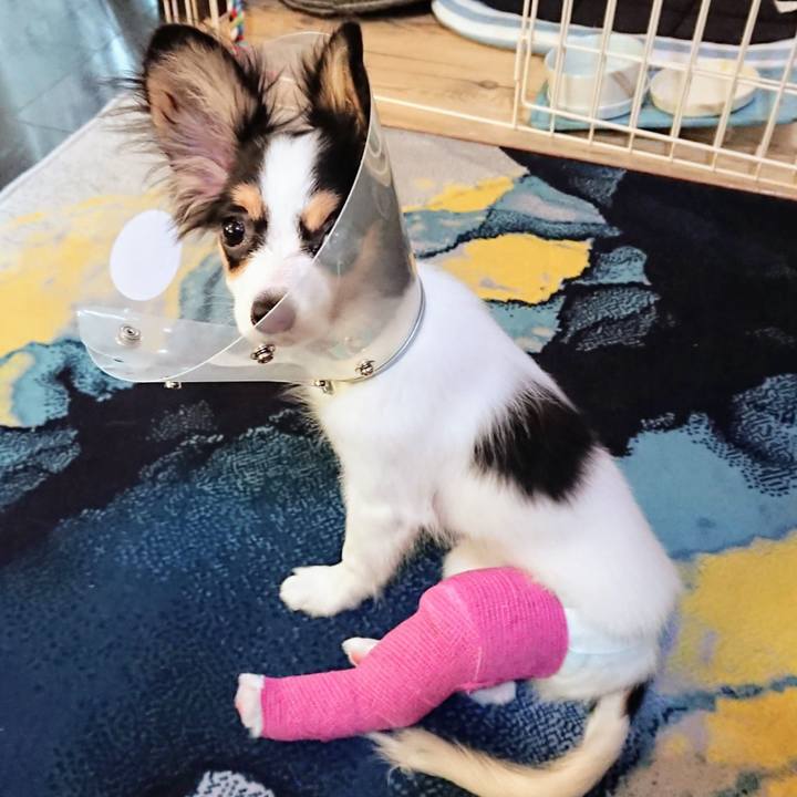 3480e0df 5df6 44ea 9988 d64a57e9dd3e 1601426592687