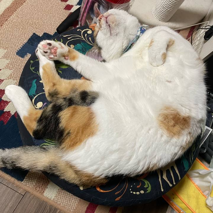 3480e914 3fa0 4dc8 91f4 a5fd1a5c4fb6 1728051109210