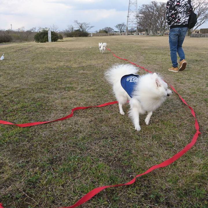 3480ea7d f955 421e 8cbc 3d32e86e1938 1584267247148