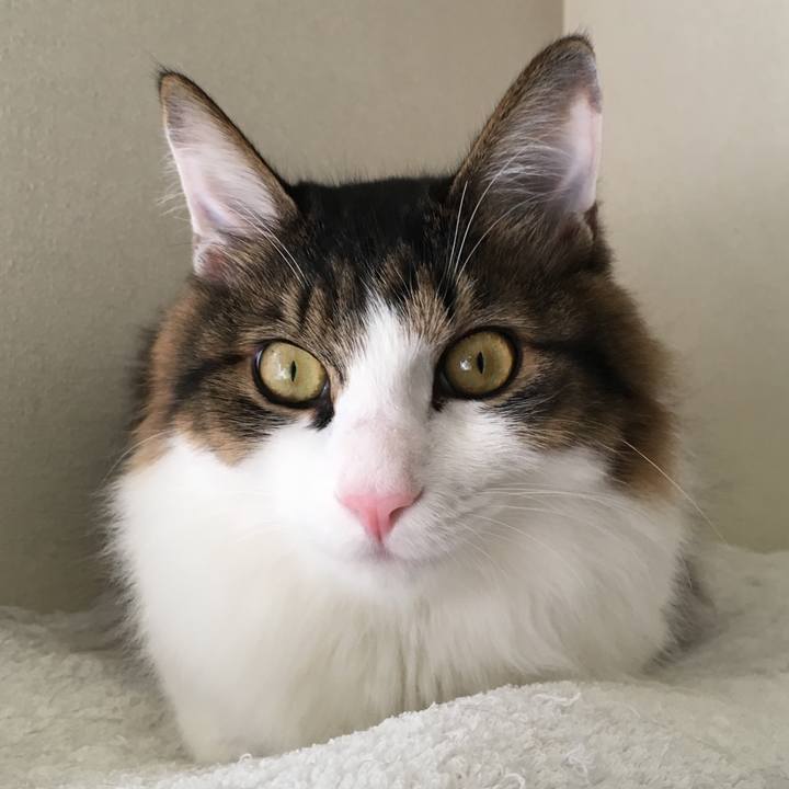 3480ec3b c923 426f be91 419271aaafbc 1508546330162