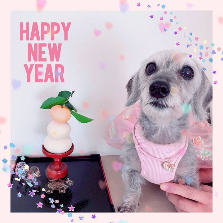 3480f279 e72c 49d2 941e affcf8911a9c 1514849158329