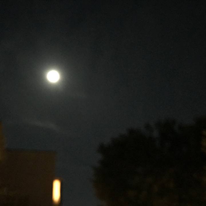 3480f955 7240 4d76 8892 51cffe32cf68 1540211219980