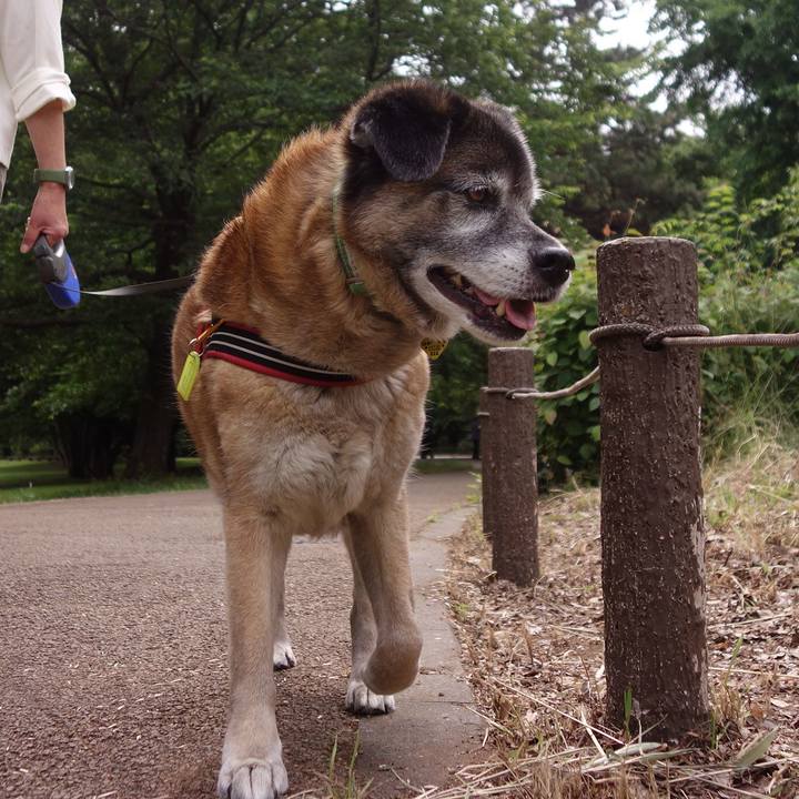 348137c3 8f17 42db 94b2 19122437f260 1559438698507