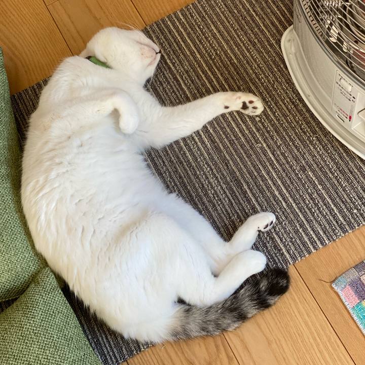 34813903 086f 4f8f b5e9 621a94f330f0 1676078875695