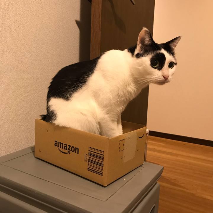 34815236 25bc 4e3a b7cf 360fbe47c228 1542903635742