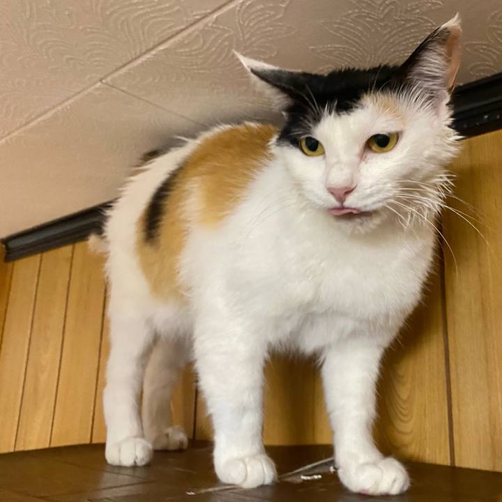 3481aac6 19da 4483 bf10 1b144fa725b1 1656243508586