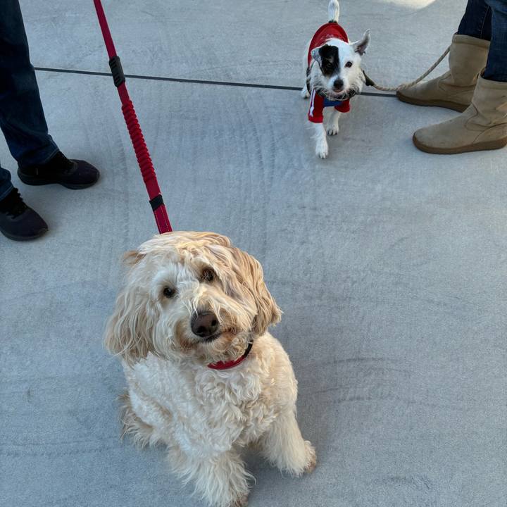 3481cca2 22be 4ef5 81e3 d50dff7812b0 1768268744454