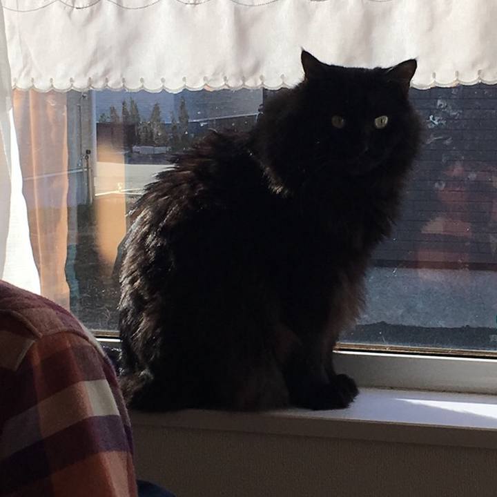 3481dafd 37ca 457d 8d1e 2596bca537e8 1542416692601