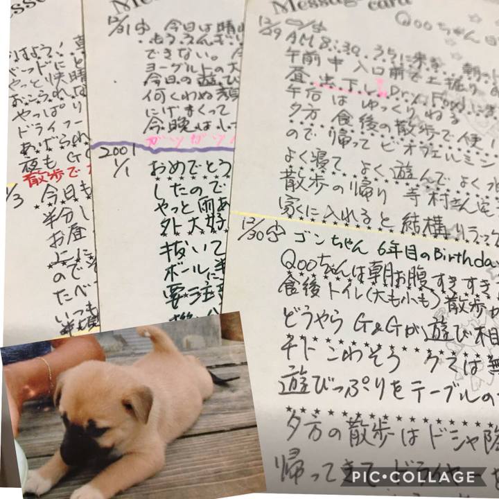 3481dc48 75f6 4fc4 8f2e 633779e2d4a8 1569791585013