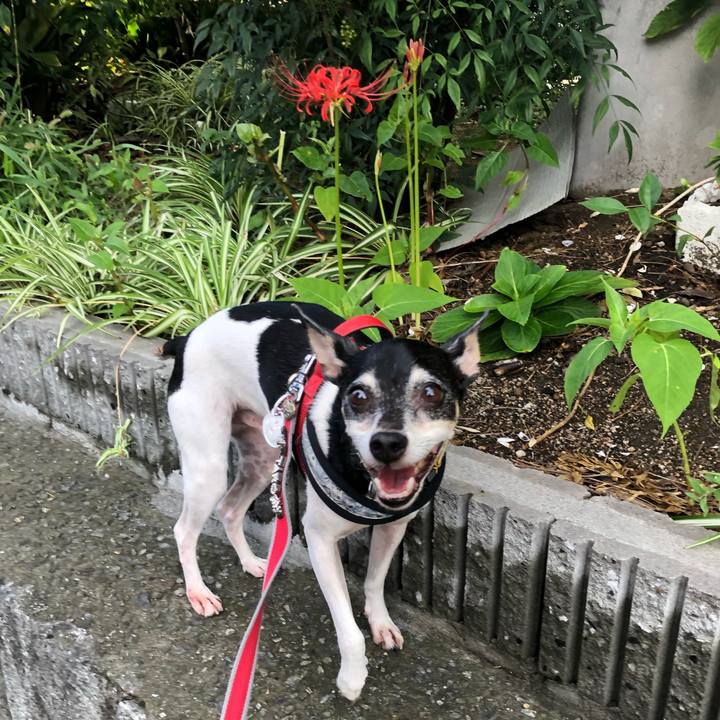 3481e3f5 02e8 400a bd67 7c380416778f 1569229989847