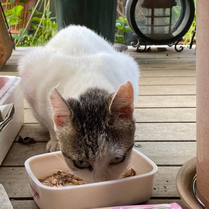 34826280 4d7e 42ae 9745 311c3cee3ce1 1597795173011