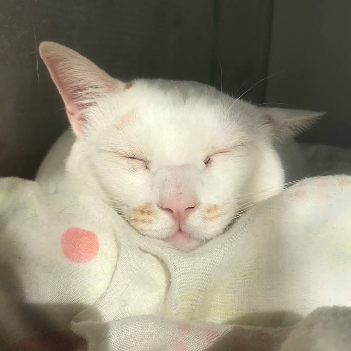 3482722d 1b89 4b70 bd29 95f5f1617022 1579616115922