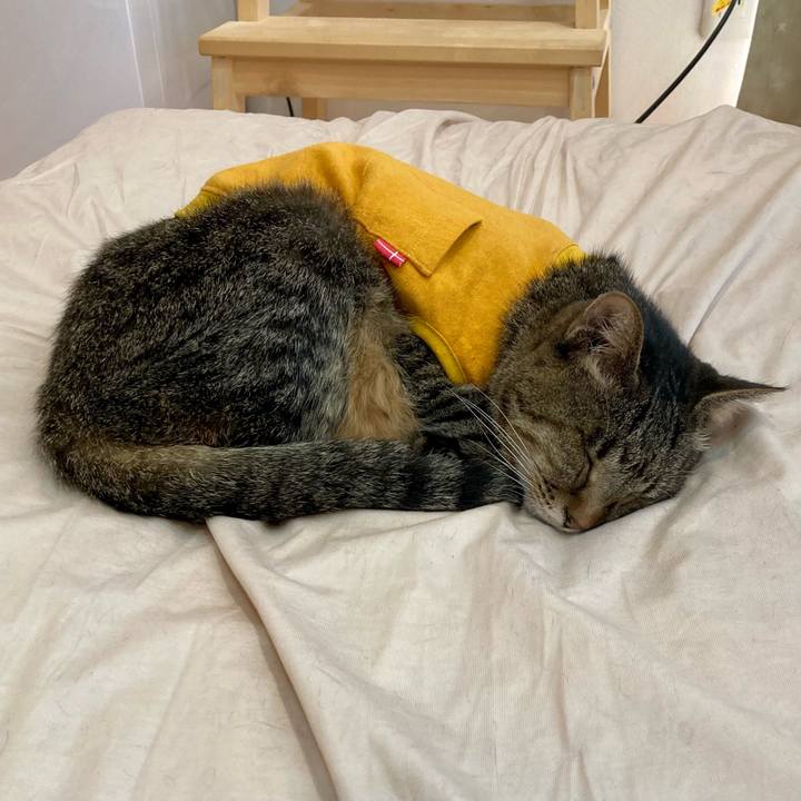 34827dad 200d 49e1 91d4 5bec2d0cbacf 1682746182690