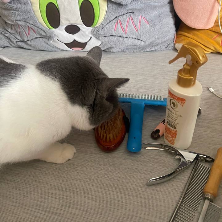 34827f82 260f 4e53 9f8a ada95991cf40 1751767855452