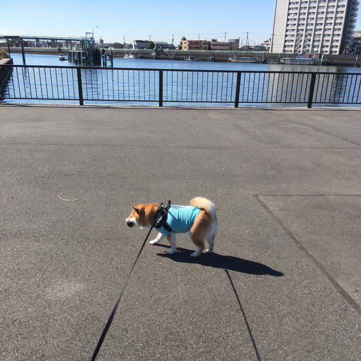 34828cce 40fb 4b3e 8a8b 3f12a75b7248 1541123639793