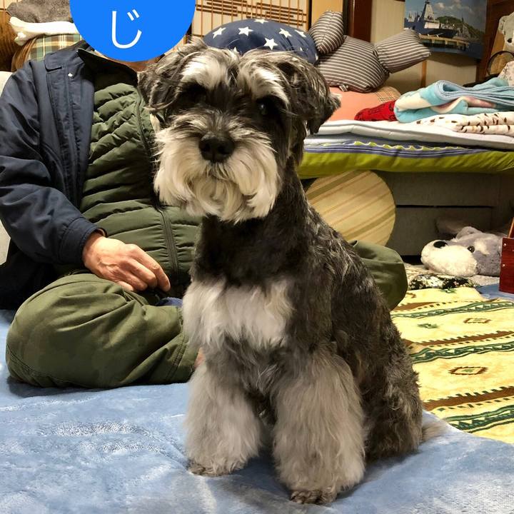 3482ba2b b52b 4322 aad8 46d0fbed9298 1677065905141