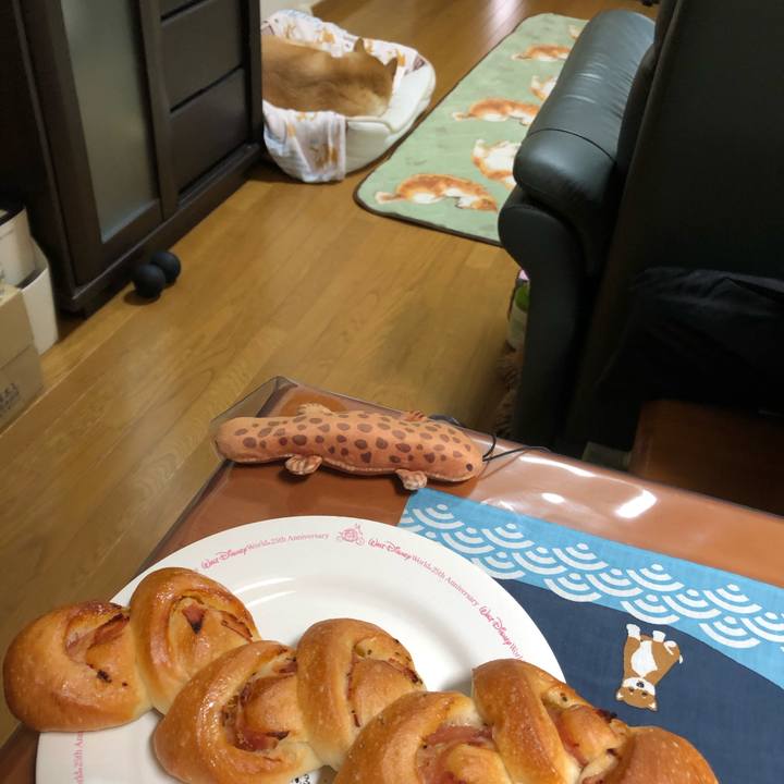 3482c7b5 6d54 475c b8a6 7c9dbd3ed53b 1604033688186