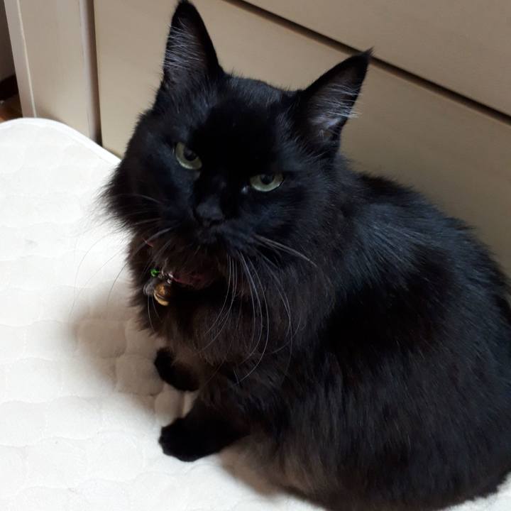 3482f0e1 c430 44a8 911a 715508537cec 1542718514452