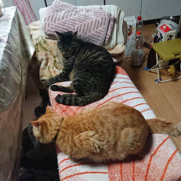 3482f5c7 51d9 4f50 b6ef 1e756e9181d2 1648853983394