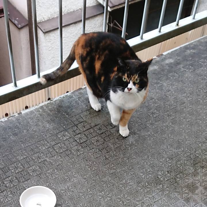 34833e80 1e22 46d9 8d5d 6029942a91da 1670299617288