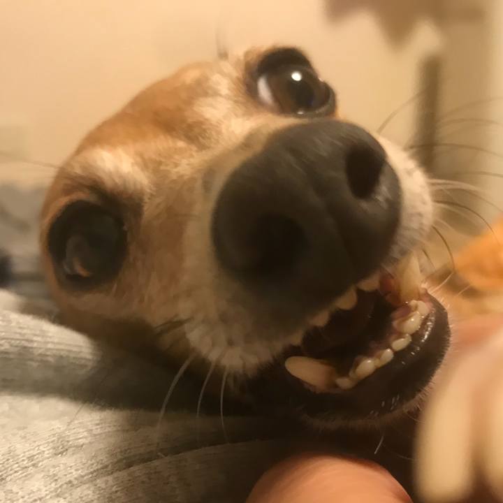 3483417b b663 4b0b 8a8c 1fbde93e6eb5 1517915528747