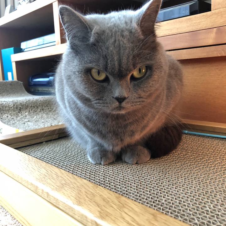 348347a1 b697 4046 96cb a6b68285e6ce 1515551830390