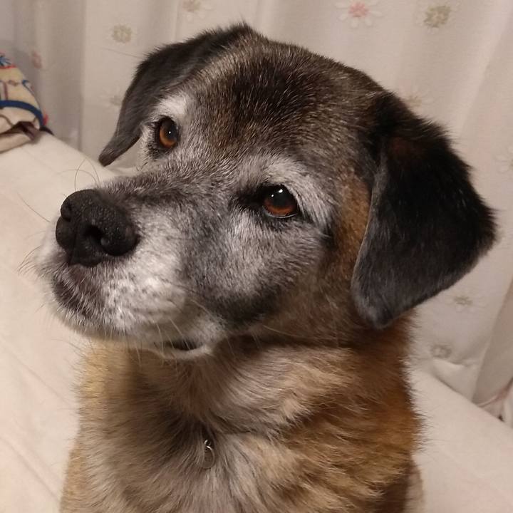 34839111 ee62 4590 a219 df90c4eacff7 1574434799873