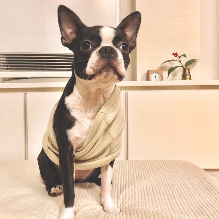 3483a975 5494 4e42 ab82 f036aa905751 1512525614978