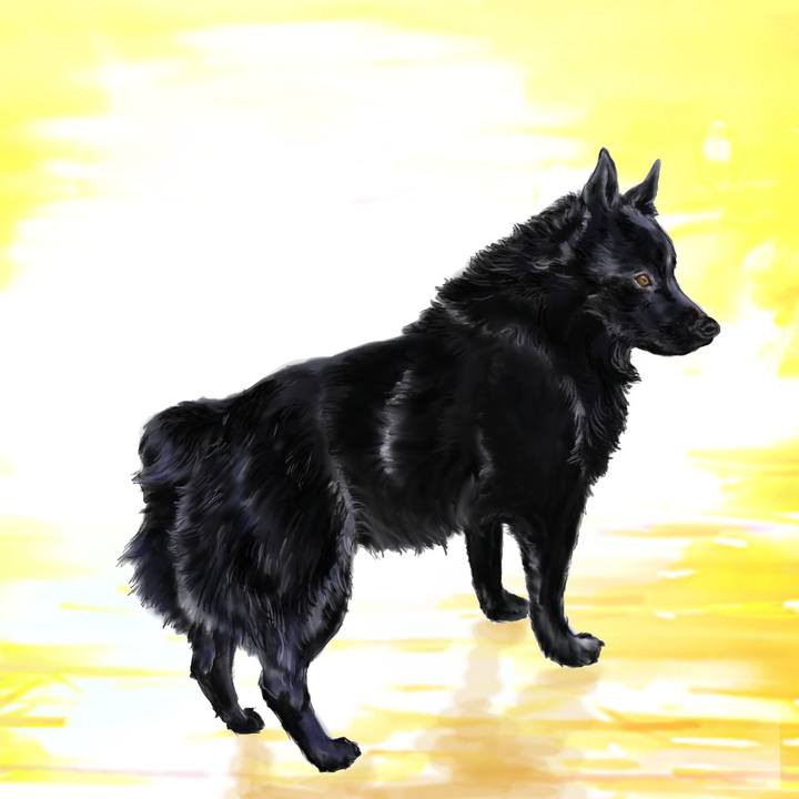 3483d2c3 ff64 4744 8c54 687aefcf0ceb 1704117403532