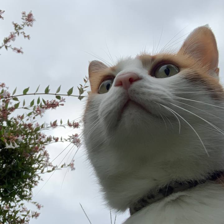 3483fbab 68cf 4795 90c7 9c1d4a748aca 1629061610882