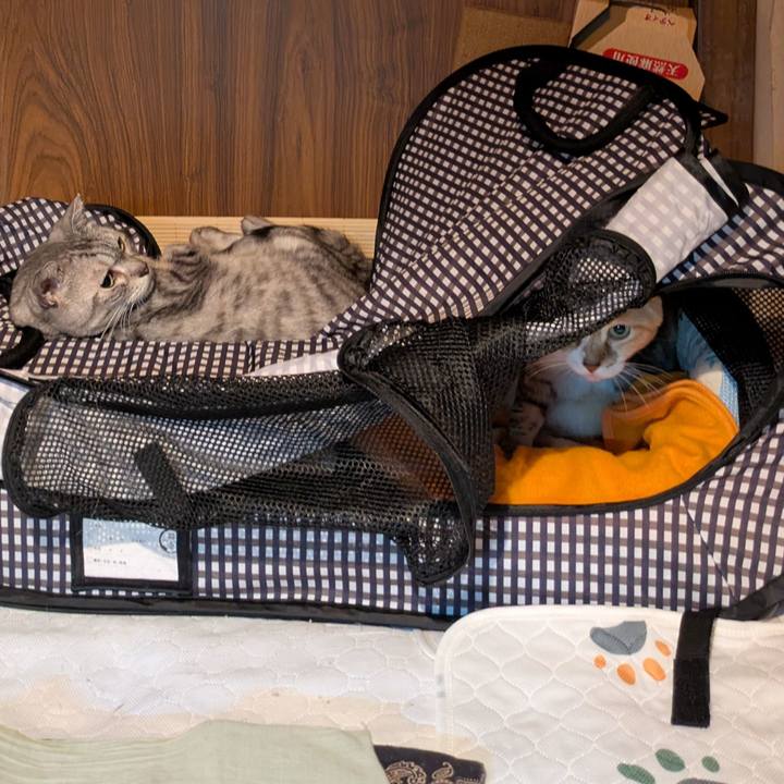 348436b8 c3e2 4b9c acce b7ffc4695e29 1760203521445