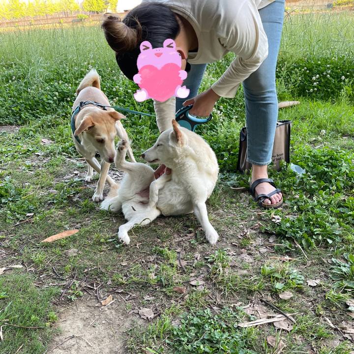 34844ff2 bded 4785 993f 0b390d963f86 1654259904653