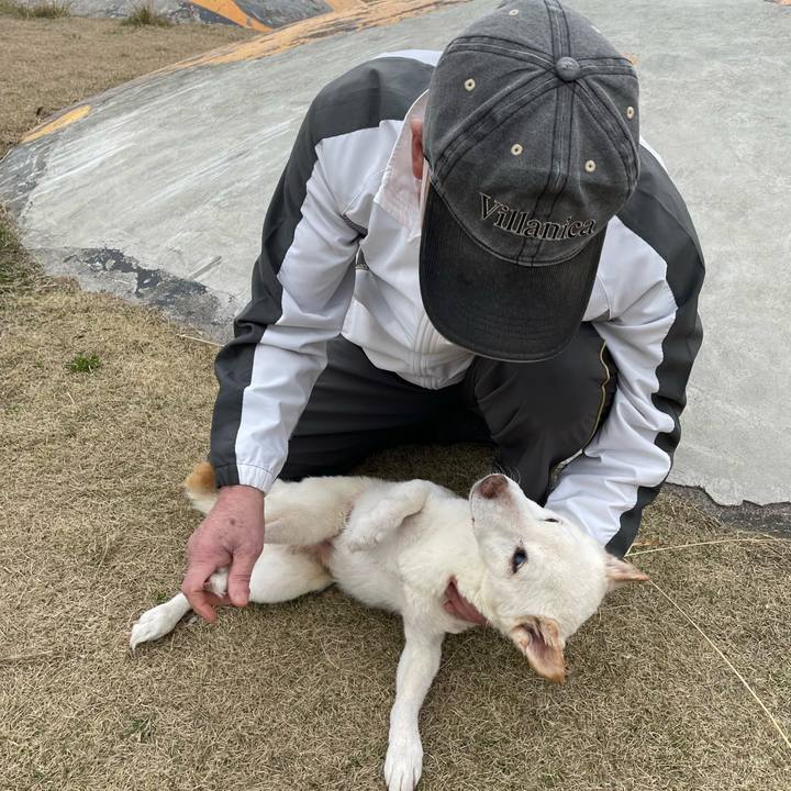 3484550c d176 4da7 960d d4b92acb1ae9 1677928880496