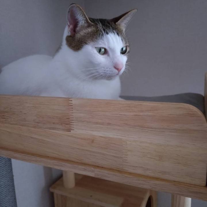 34847c41 909d 4c50 831b b8c8b0b082e1 1763165447110