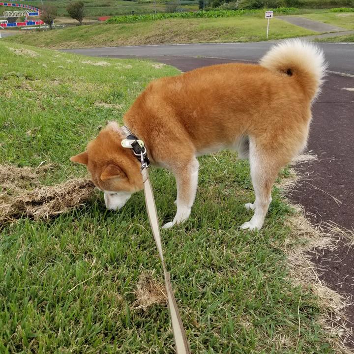 348487dd 748f 487a 9343 9ed6195fb4d8 1664262988917