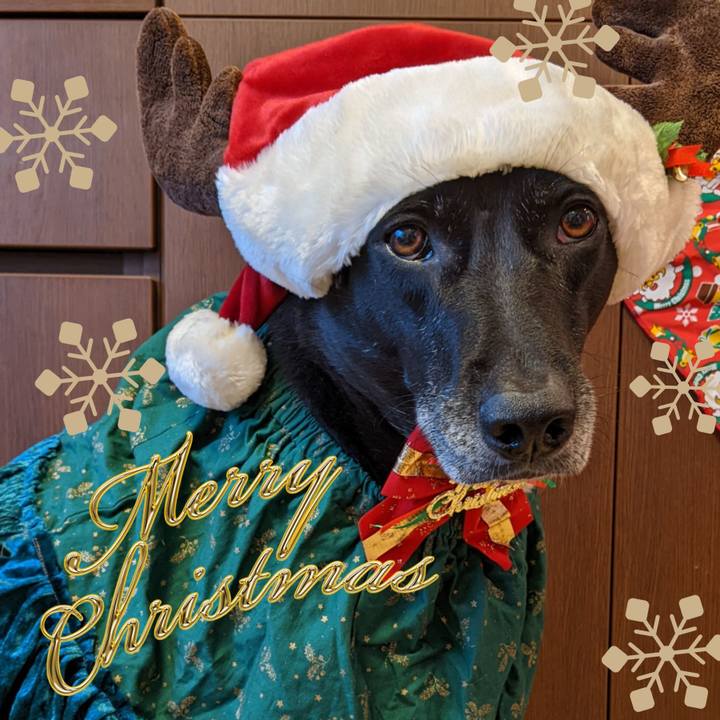 34849fd3 6ca3 42e9 85bf 1b59cd64a3a6 1671919089095