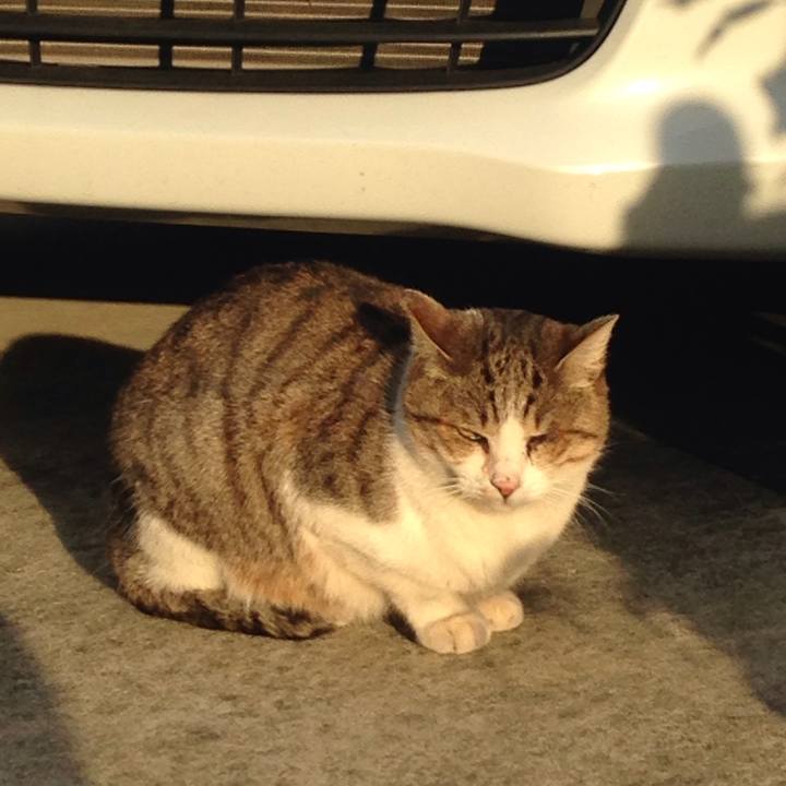 3484a544 bfcf 4496 99d4 50942a7ecdf8 1511166836412