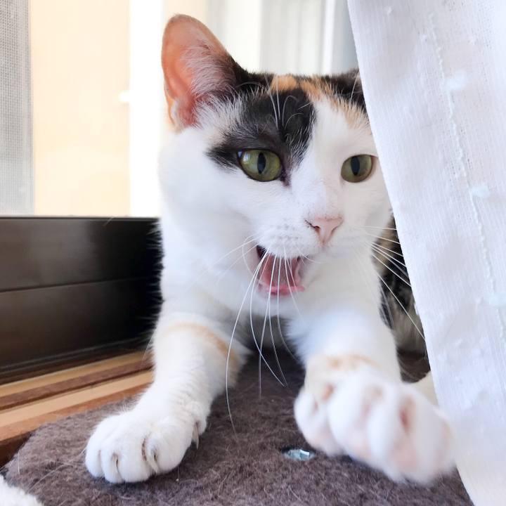 3484ab1b b83c 45c6 84de 641b836a3173 1530149868422