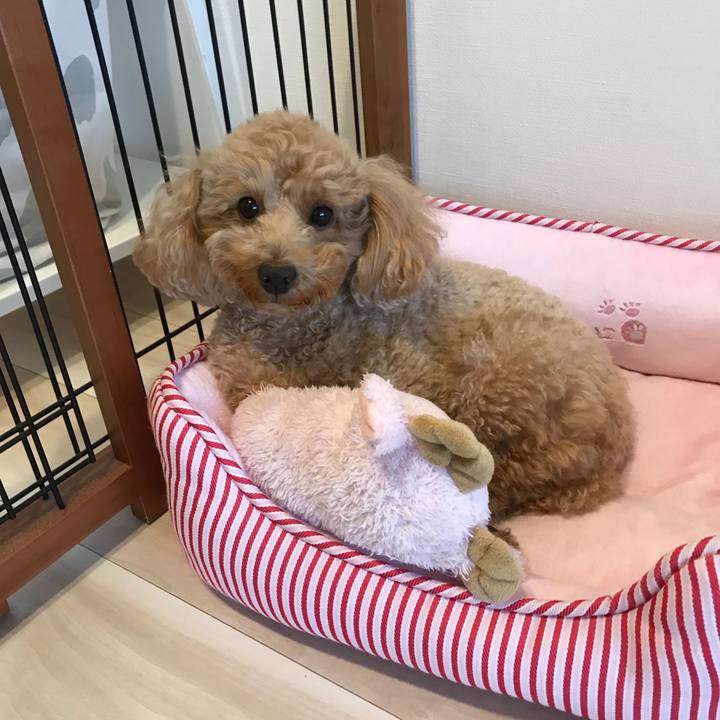 3484b947 9ae5 4e3c 9400 86b3a33fb0b2 1544578192834