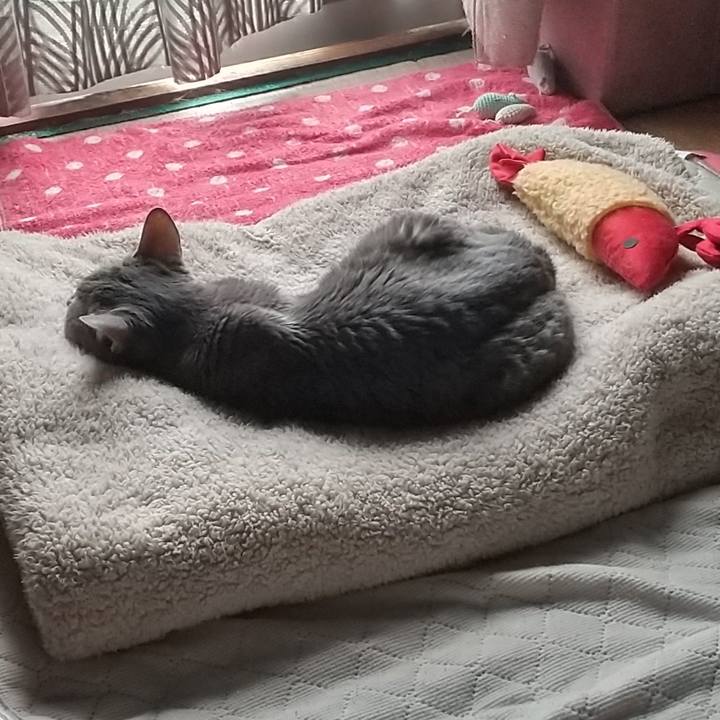 3484f931 e28b 4b2d 8799 02121850d3e0 1696130340409