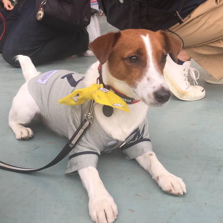 34850f42 015d 470c 93c7 747b035102a6 1523675041198