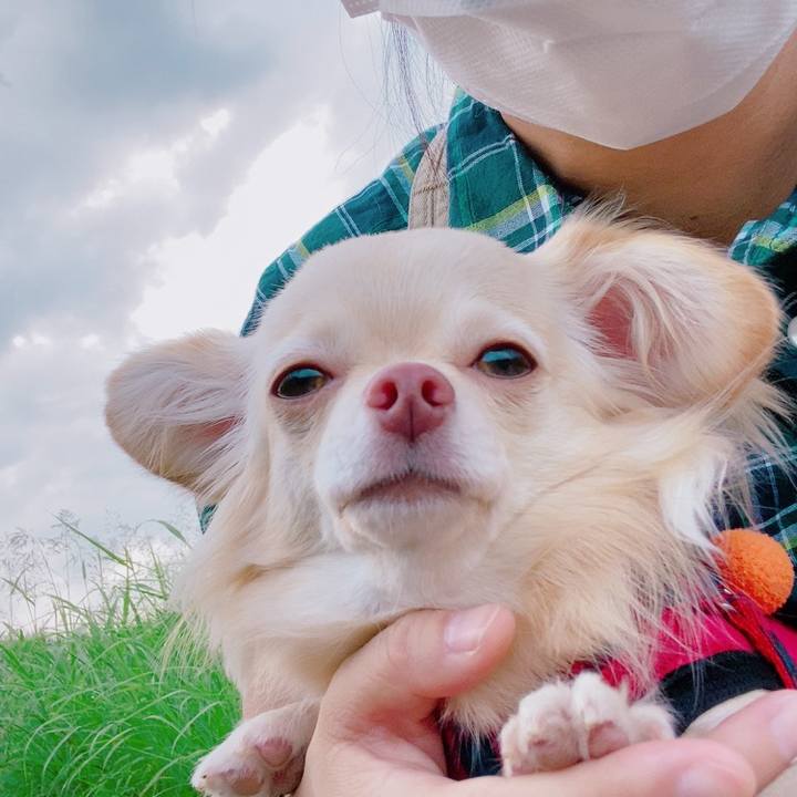 34853622 a6b5 4904 bc29 88b31769b675 1627635733949