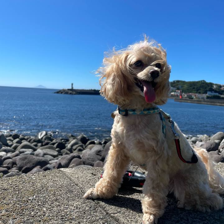 3485581c d8a1 4509 9379 b88ccef689d0 1658564472239