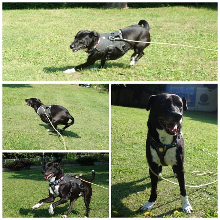 34858c9a f91a 498a 9944 54101a4a550c 1652921520157