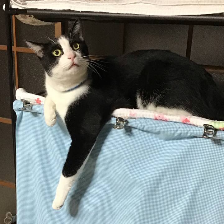 348592ae b3d9 4000 a0c4 d90bcfe54f79 1695474819807