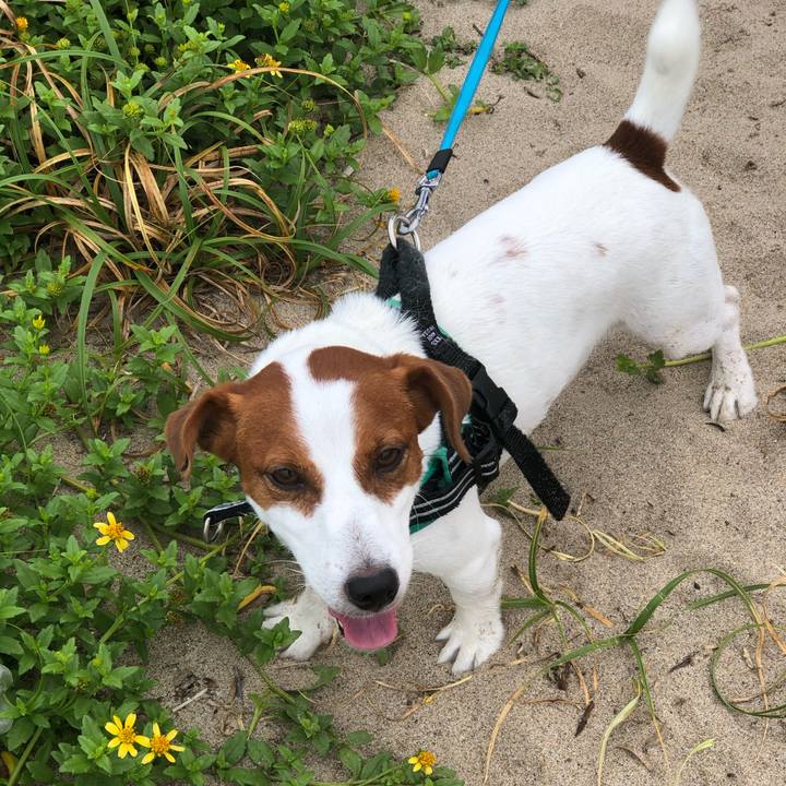 3485a56a 9784 40df a2e9 deb834893d8c 1596862903362