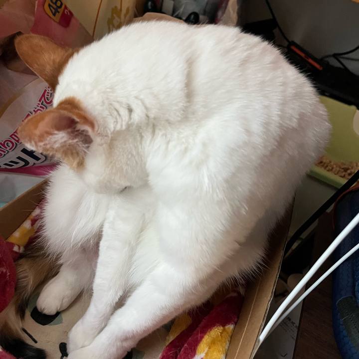 3486096a 5906 4fdd 9ef0 f580d8d61140 1772634132034